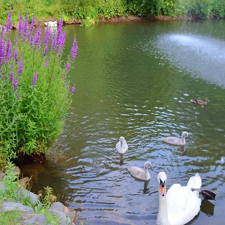 Gemuetliche Tierfreundliche In Huddingen Apartment