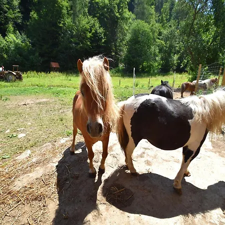 Gemuetliche Tierfreundliche In Huddingen Appartement *