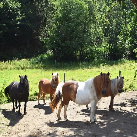 Apartment Gemuetliche Tierfreundliche In Huddingen *