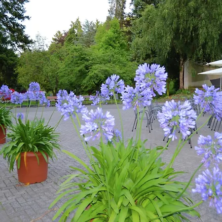Gemuetliche Tierfreundliche In Huddingen Apartment Gellershausen
