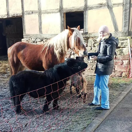 Gemuetliche Tierfreundliche In Huddingen * Reinhardshausen