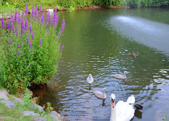 Gemuetliche Tierfreundliche In Huddingen Apartmán