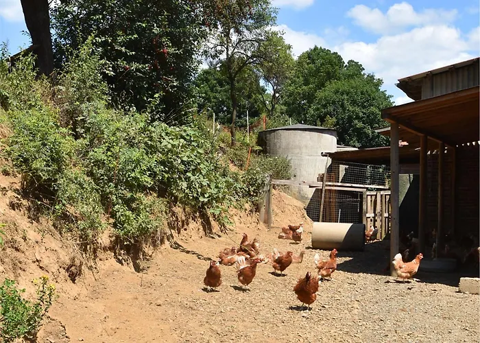 Apartmán Gemuetliche Tierfreundliche In Huddingen