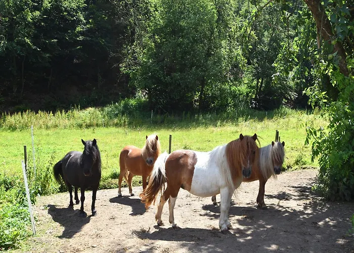Apartament Gemuetliche Tierfreundliche In Huddingen *
