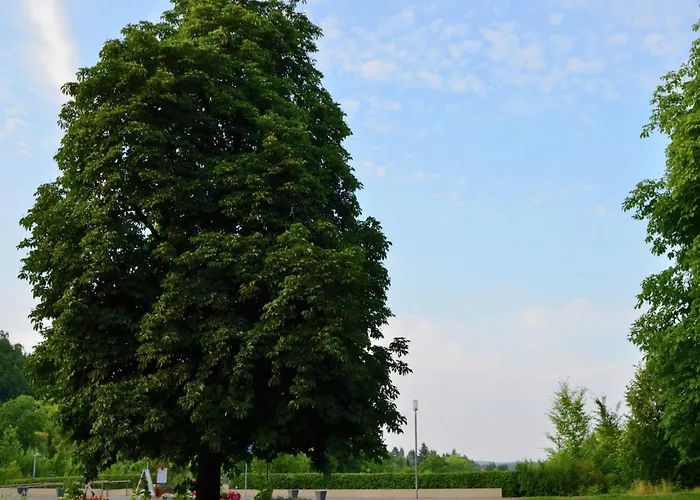 Gemuetliche Tierfreundliche In Huddingen Apartament Reinhardshausen