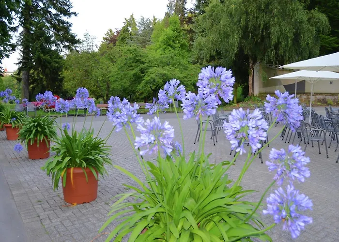 Gemuetliche Tierfreundliche In Huddingen Apartament Reinhardshausen