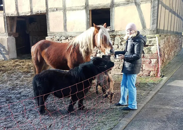 Gemuetliche Tierfreundliche In Huddingen * Reinhardshausen